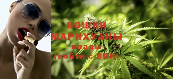 амф Долгопрудный