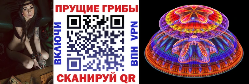Галлюциногенные грибы MAGIC MUSHROOMS  даркнет сайт  Баймак 